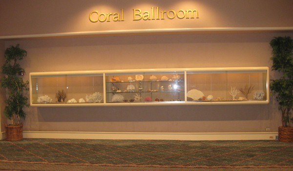 Original coral collection display